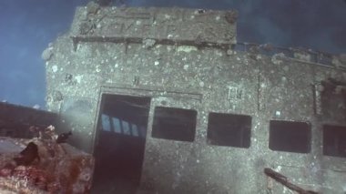 Salem hızlı batık Kızıldeniz Mısır'daki balık arka plan üzerinde.