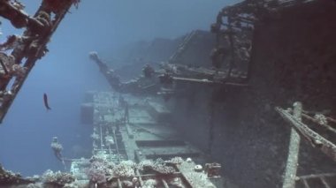 Mısır'daki Red Sea'deki/daki mavi su altında batık Salem hızlı.