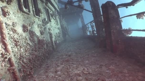Coralli sul ponte della nave affondata Salem Express sott'acqua nel Mar Rosso in Egitto . — Video Stock