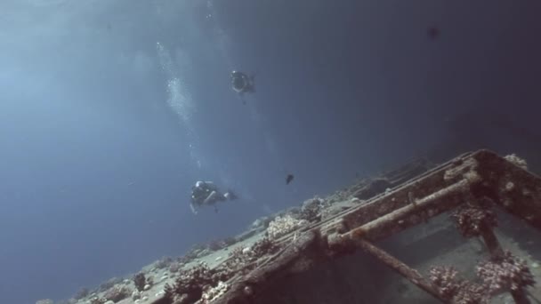 Diver swimss underwater in wrecks Salem Express. — Stock Video