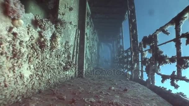 Paluba lodi vraků, Salem Express pod vodou v Rudém moři v Egyptě. — Stock video