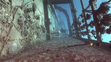 Salem hızlı batık sualtı Kızıldeniz Mısır'ın batık.