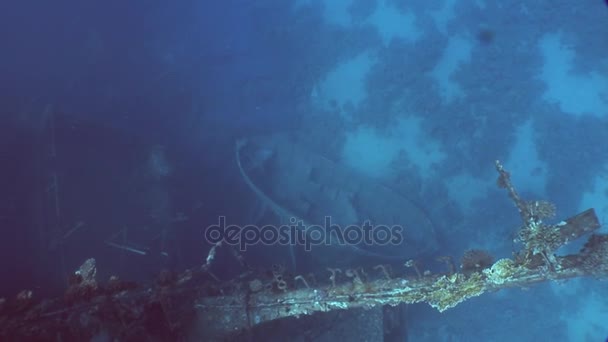 Boot auf Meeresgrund in der Nähe von Salem Express Schiffswracks unter Wasser in rotem Meer in Ägypten. — Stockvideo