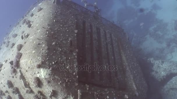 Gemi enkazı Salem Express Mısır 'daki Kızıl Deniz' de suyun altında.. — Stok video