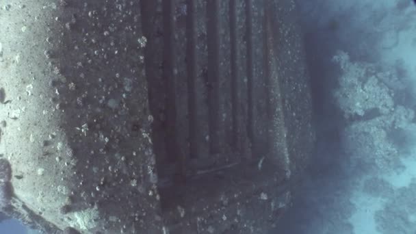 Salem Express shipwrecks underwater in the Red Sea in Egypt. — Stock Video