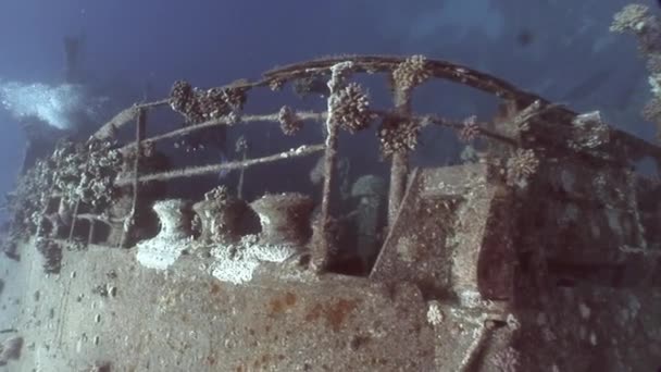 Diver sul ponte della nave affondata Salem Express . — Video Stock