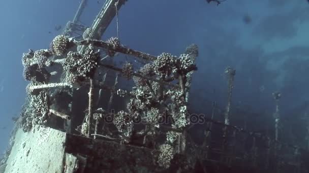 Diver on deck of ship wreck Salem Express. — Stock Video