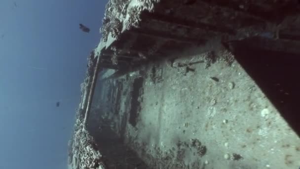 Salem Express scheepswrakken onderwater in de rode zee in Egypte. — Stockvideo