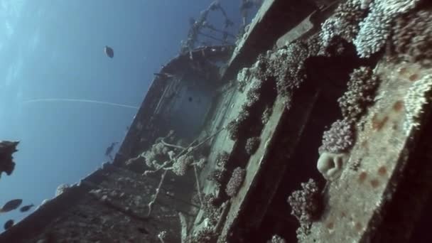 Корабель розбився під водою в Червоному морі в Єгипті.. — стокове відео