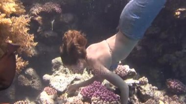 Deniz kızı kostümlü Red Sea'deki/daki kamera için poz sualtı modeli.