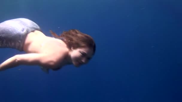 Deniz kızı kostümlü Red Sea'deki/daki kamera için poz sualtı modeli. — Stok video