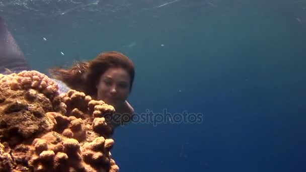 Underwater modell gratis dykare simmar i ren transparent blå vattnet i Röda havet. — Stockvideo