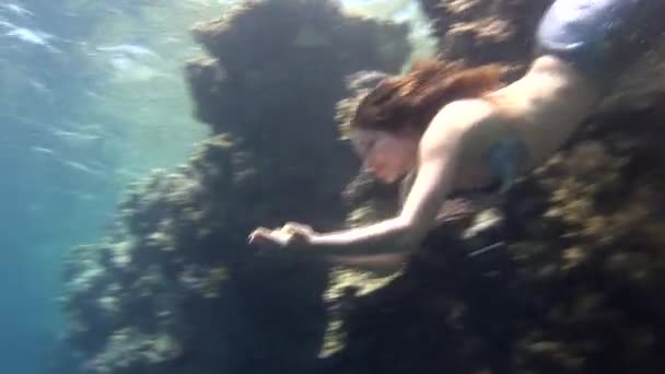 Unterwassermodell Freitaucher schwimmt in klarem, blauem Wasser im roten Meer. — Stockvideo