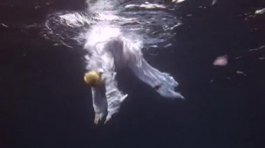 Sualtı modeli ücretsiz diver kostüm melek Kızıldeniz temiz suda yüzüyor.