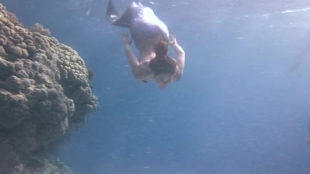 Підводний модель вільного diver плаває в чисте, прозоре блакитна вода в Червоному морі. — стокове відео