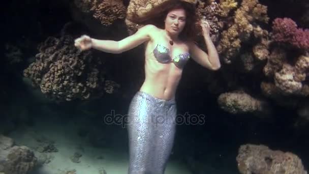 Deniz kızı kostümlü Red Sea'deki/daki sualtı modeli ücretsiz diver yüzüyor. — Stok video