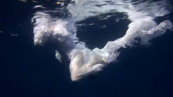 Подводная модель в костюме ангела позирует для камеры в Красном море . — стоковое видео