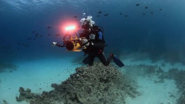 Derin sualtı Yüzme Kızıldeniz'kameraman dalgıç.