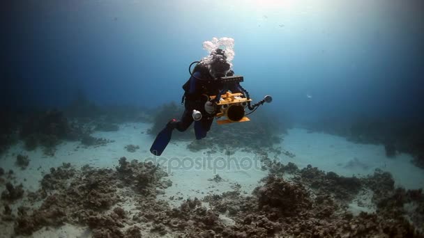 Cameraman duiker, diep onder water zwemmen in de rode zee. — Stockvideo