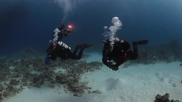 赤い海で泳いで深い水中カメラマン ダイバー. — ストック動画