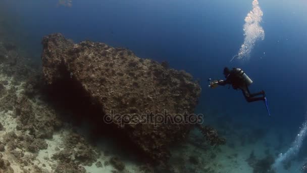 Cameraman diver swimming deep underwater in Red sea. — Stock Video