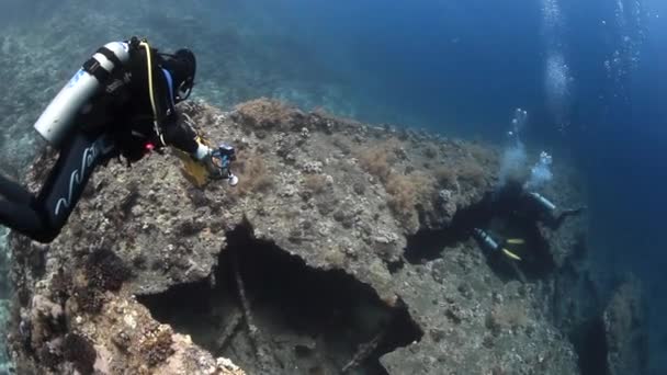 Cameraman duiker zwemmen in diep onderwater koraal in rode zee. — Stockvideo