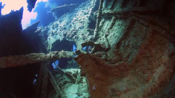 Naufragio bajo el agua en el Mar Rojo . — Vídeo de stock