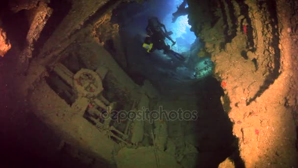 Kamerataucher schwimmt im Hintergrund des Schiffswracks unter Wasser im roten Meer. — Stockvideo