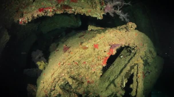 Schiffswrack unter Wasser im Roten Meer. — Stockvideo