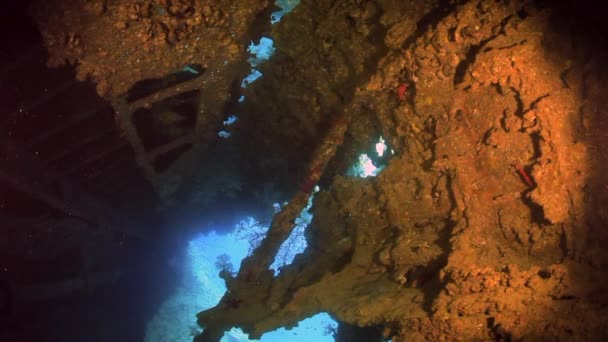 Wrak statku pod wodą w Morzu Czerwonym. — Wideo stockowe