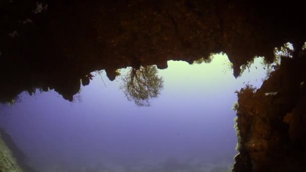 Cave underwater in Red sea. — Stock Video