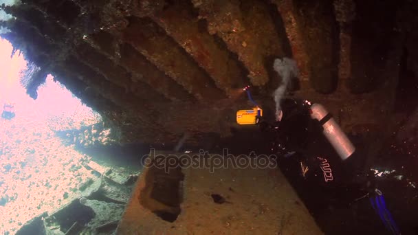Nurek nurków cameramans pływanie w wrak statku pod wodą Morza Czerwonego. — Wideo stockowe