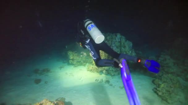 Cameraman shoots scorpionfish underwater on sandy bottom in Red sea. — Stock Video