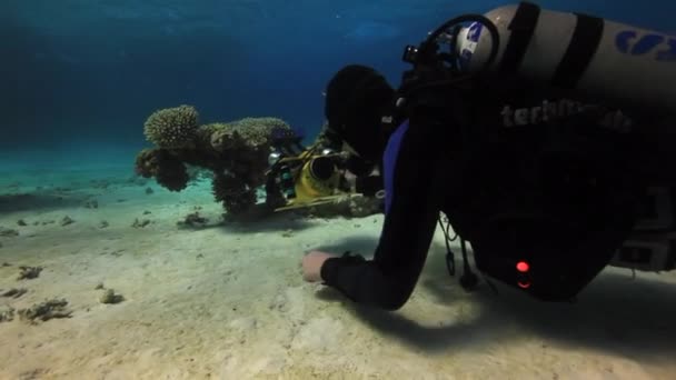 Camarógrafo buceador nadando en fondo arenoso profundo bajo el agua en el Mar Rojo . — Vídeo de stock