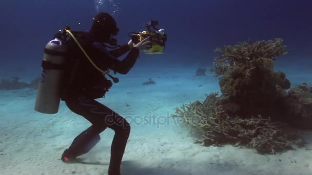 Cameraman diver swimming on sandy bottom deep underwater in Red sea. — Stock Video