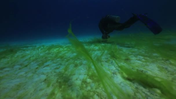 Cameraman duiker, diep onder water zwemmen in de rode zee. — Stockvideo