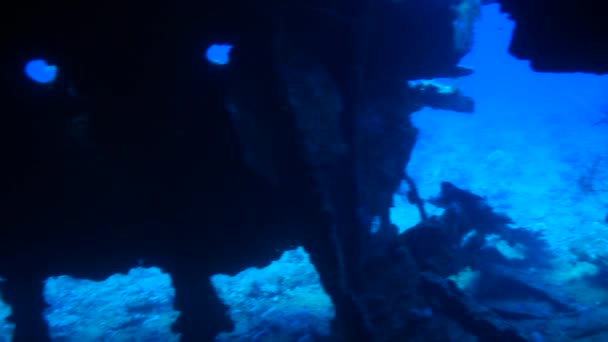 紅海の海洋の自然景観を背景に水中難破船船. — ストック動画
