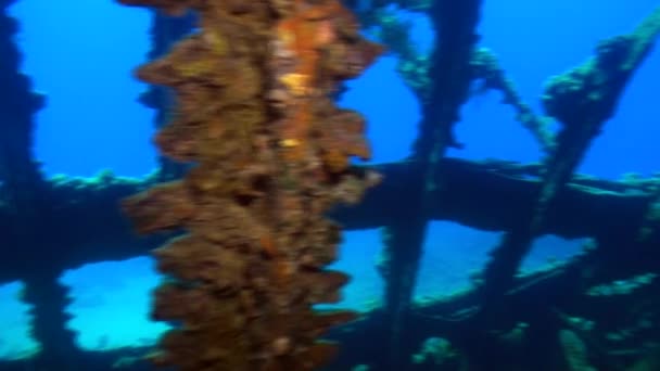 Vrak lodi pod vodou na pozadí Mořské krajiny v Rudém moři. — Stock video