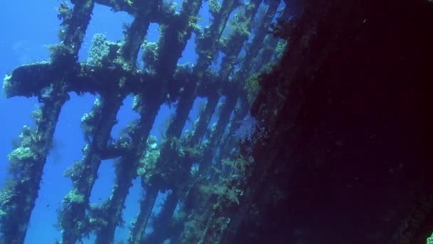 Naufragio barco bajo el agua en el paisaje marino de fondo en el Mar Rojo . — Vídeo de stock