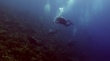 Dalgıçlar enkazı yakınındaki sualtı mercan kayalığı Abu Nuhas Red Sea'deki/daki üzerinde gemi..