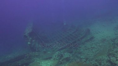 Sualtı mercan kayalığı Abu Nuhas Red Sea'deki/daki mavi arka plan üzerinde gemi batık.