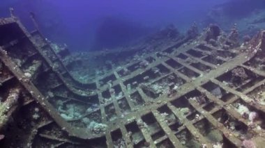 Sualtı mercan kayalığı Abu Nuhas Red Sea'deki/daki mavi arka plan üzerinde gemi batık.