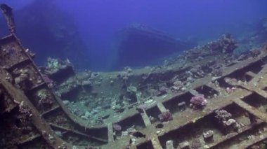 Sualtı mercan kayalığı Abu Nuhas Red Sea'deki/daki mavi arka plan üzerinde gemi batık.