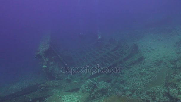 Vrak fartyget under vattnet på korallrev Abu Nuhas på blå bakgrund i Röda havet. — Stockvideo