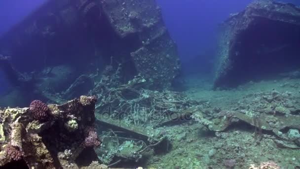 Wreck ship underwater on coral reef Abu Nuhas on blue background in Red sea. — Stock Video