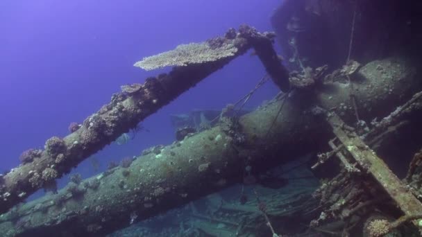 Wrak onderwater schip op koraal rif Abu Nuhas op blauwe achtergrond in de rode zee. — Stockvideo