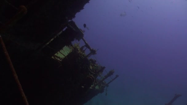 Разрушительный корабль под водой на коралловом рифе Абу Нухас на синем фоне в Красном море . — стоковое видео