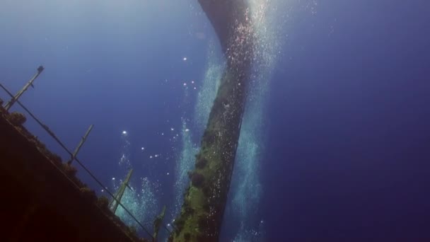 Wreck ship underwater on coral reef Abu Nuhas on blue background in Red sea. — Stock Video