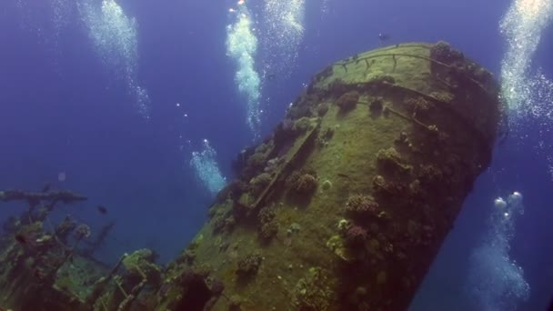 Δύτες κοντά σε ναυάγιο πλοίο υποβρύχια στον κοραλλιογενή ύφαλο Abu Nuhas στην Ερυθρά θάλασσα. — Αρχείο Βίντεο