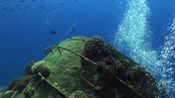 Nave relitto sott'acqua sulla barriera corallina Abu Nuhas su sfondo blu nel Mar Rosso . — Video Stock